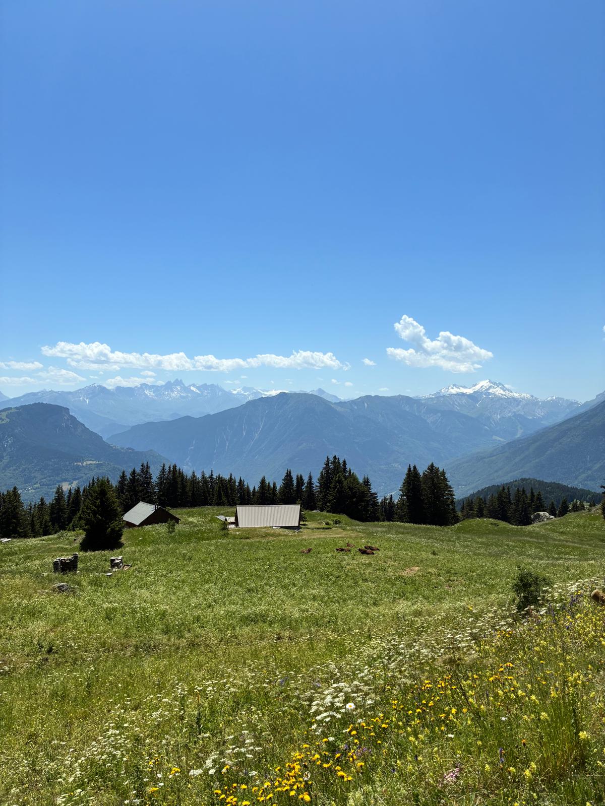 Alpage avec chalets en été